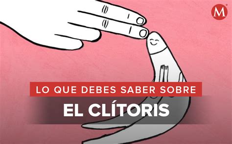 El clítoris: qué es, dónde está y cómo estimular el órgano del。